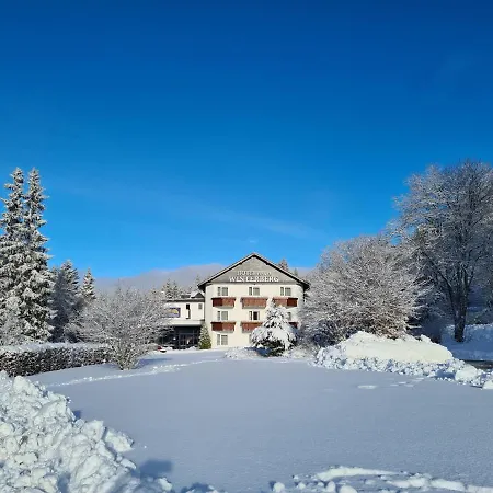 Hotel Winterberg Resort فندق 3*