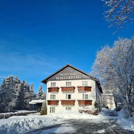 Hotel Winterberg Resort 3*