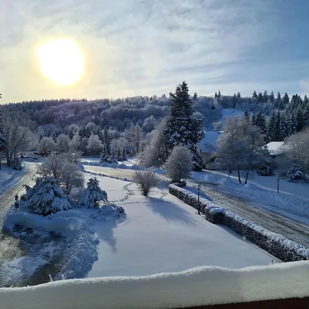 호텔 Hotel Winterberg Resort