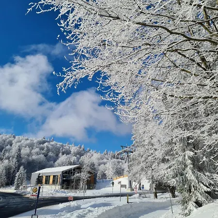 فندق Hotel Winterberg Resort 3*