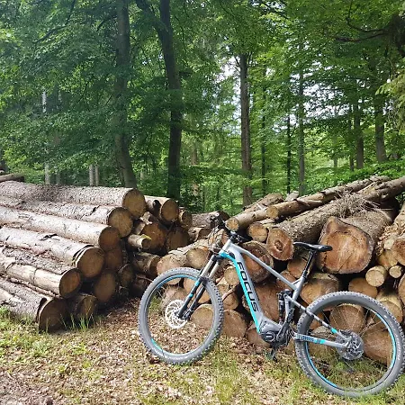 Hotel Winterberg Resort 빈터베르크