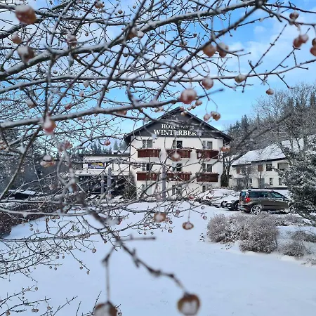 فندق Hotel Winterberg Resort