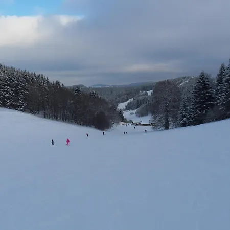 فندق Hotel Winterberg Resort 3*