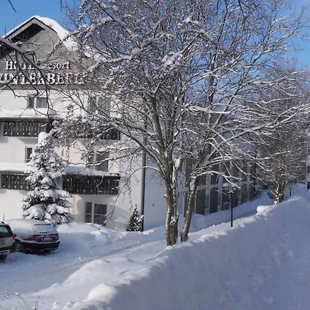 Hotel Hotel Winterberg Resort Winterberg