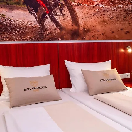 فندق Hotel Winterberg Resort