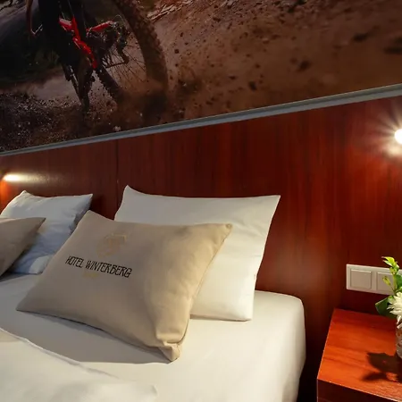 Hotel Winterberg Resort 호텔 3*