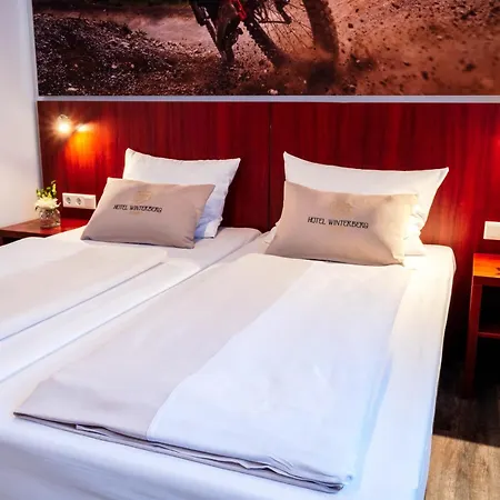 Hotel Winterberg Resort 3* Βίντερμπεργκ
