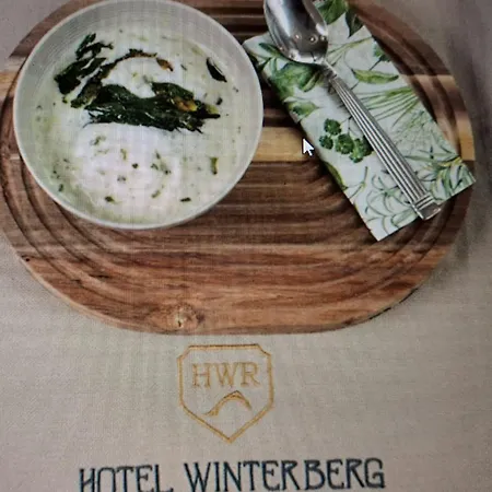 Hotel Winterberg Resort Hotel Winterberg