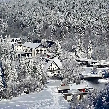 فندق Hotel Winterberg Resort وينتربرغ