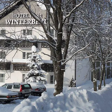 Hotel Winterberg Resort 3*