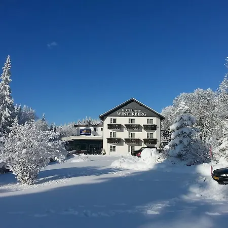 فندق Hotel Winterberg Resort وينتربرغ