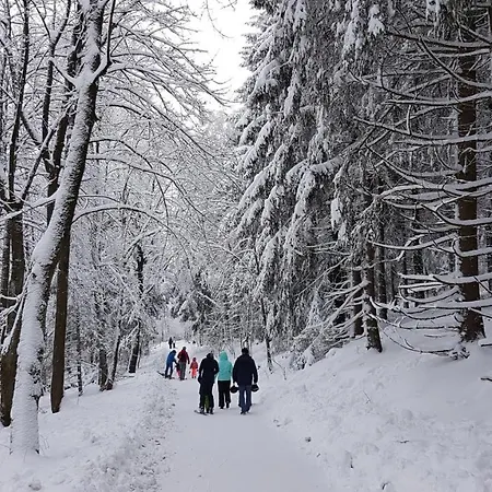Hotel Winterberg Resort 3* Winterberg