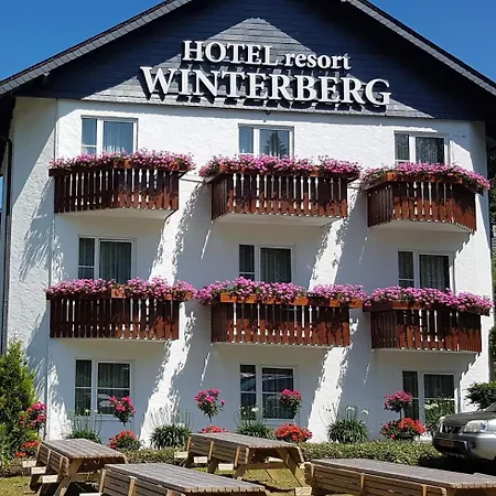 Hotel Winterberg Resort وينتربرغ