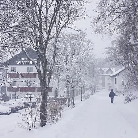 Hotel Winterberg Resort فندق 3*