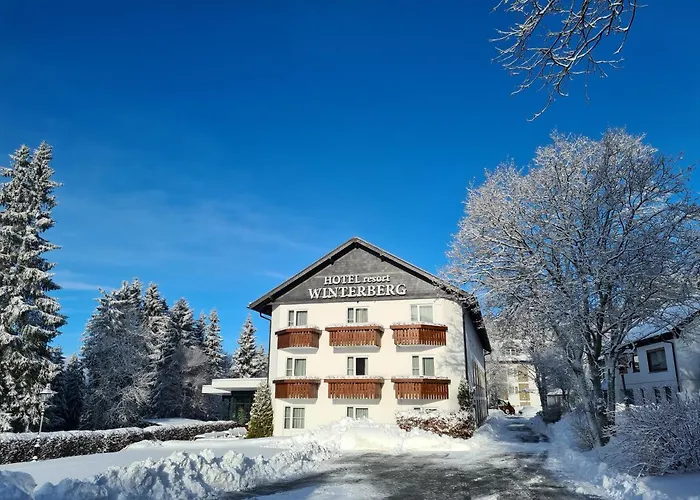 Hotel Winterberg Resort 3*