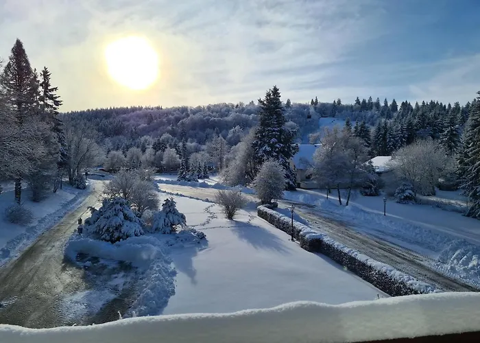 Hotel Hotel Winterberg Resort