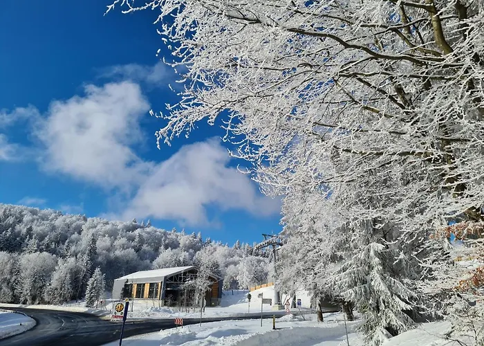 호텔 Hotel Winterberg Resort 3*