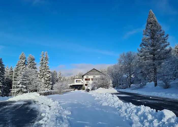 Hotel Winterberg Resort Hotel 3*