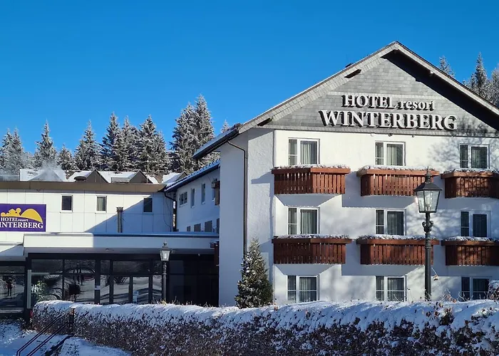 Hotel Winterberg Resort 3*
