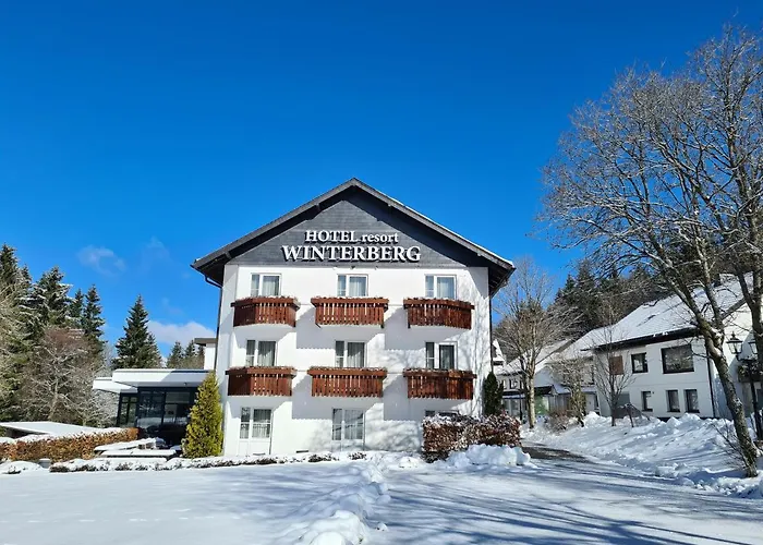 Hotel Winterberg Resort Winterberg