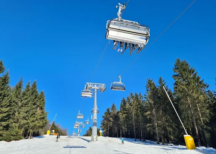 Otel Hotel Winterberg Resort