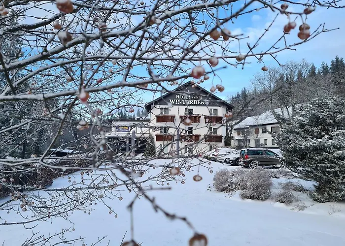 Otel Hotel Winterberg Resort