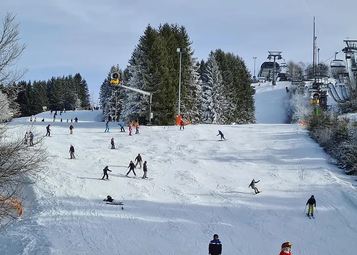 Hotel Winterberg Resort