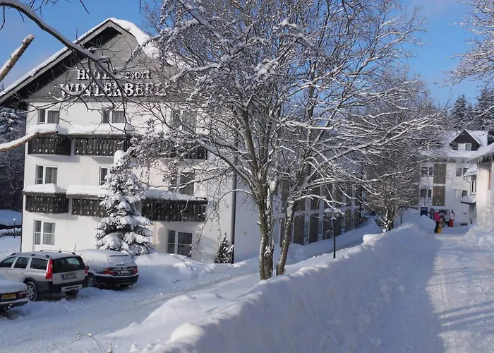 Hotel Hotel Winterberg Resort Winterberg
