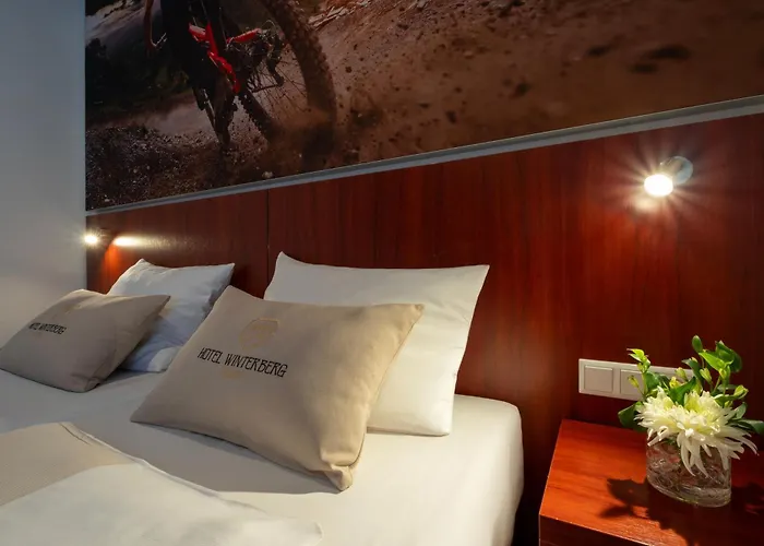 Hotel Winterberg Resort فندق 3*