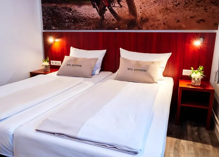 Hotel Winterberg Resort 3* Winterberg