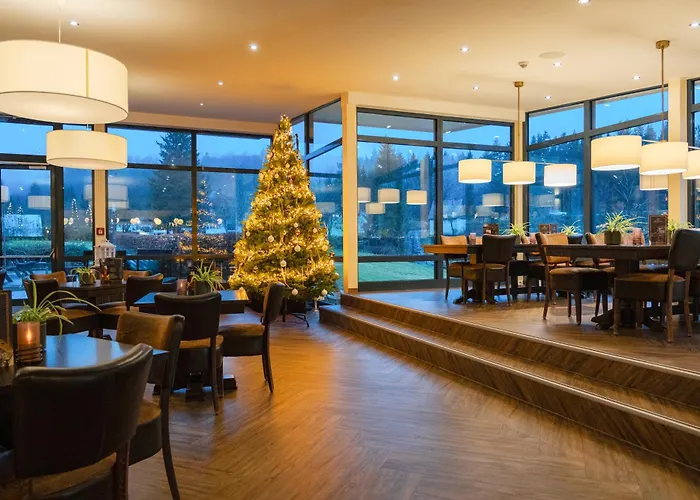 Otel Hotel Winterberg Resort