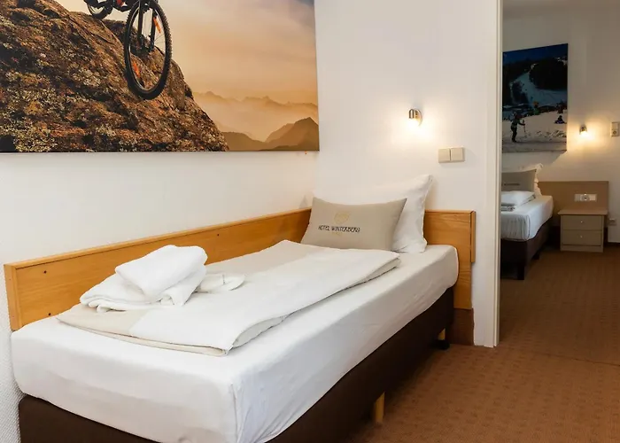 Hotel Hotel Winterberg Resort