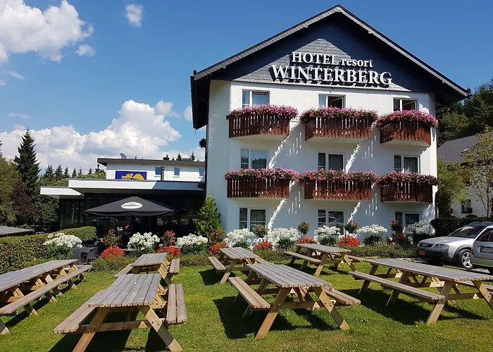Otel Hotel Winterberg Resort