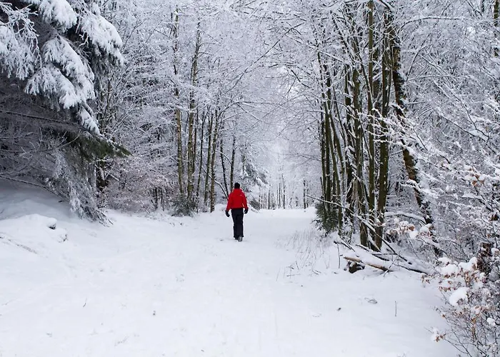 فندق Hotel Winterberg Resort 3*