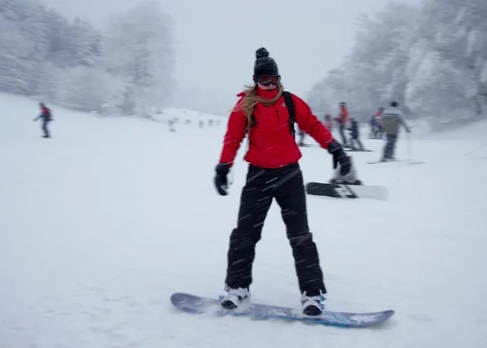 Hotel Winterberg Resort 호텔 빈터베르크