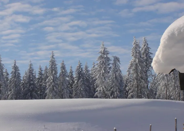 Hotel Winterberg Resort 3*