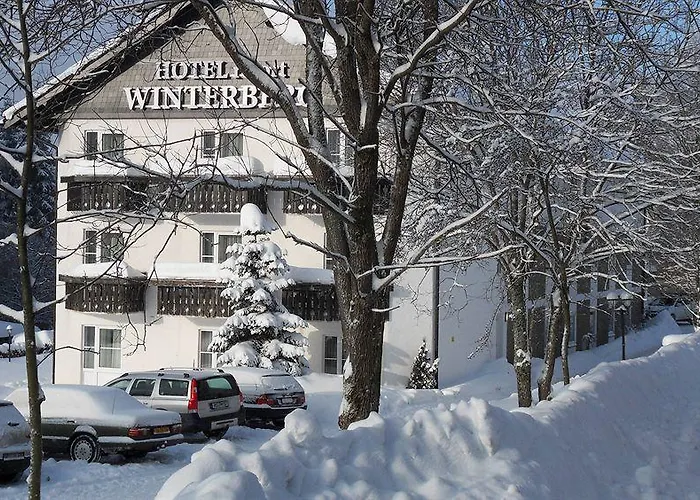 Hotel Winterberg Resort 3*
