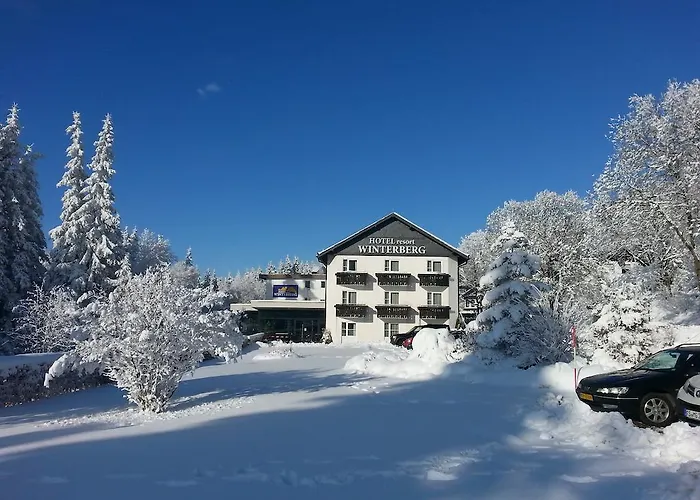 Hotel Hotel Winterberg Resort Winterberg