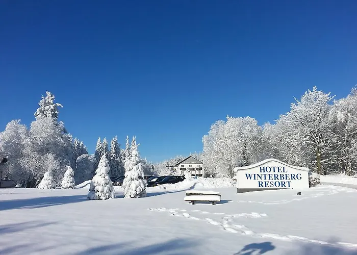 Hotel Winterberg Resort Hotel Winterberg