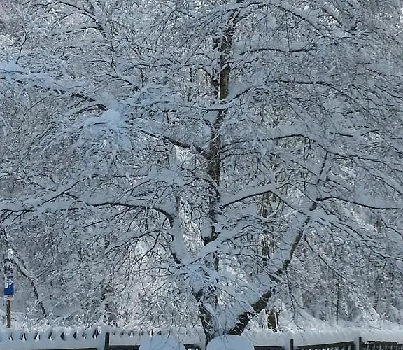 Hotel Winterberg Resort فندق 3*