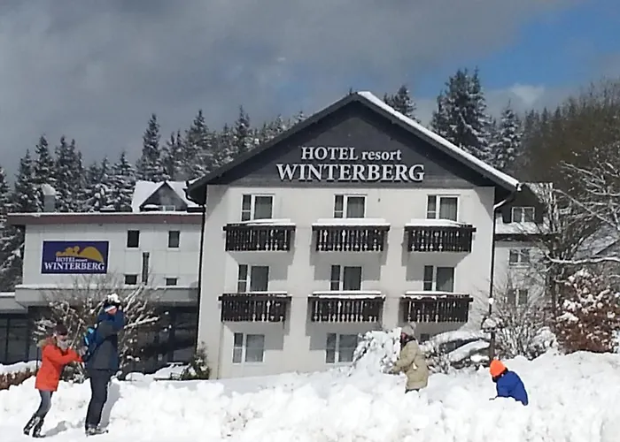 Hotel Winterberg Resort Hotel 3*