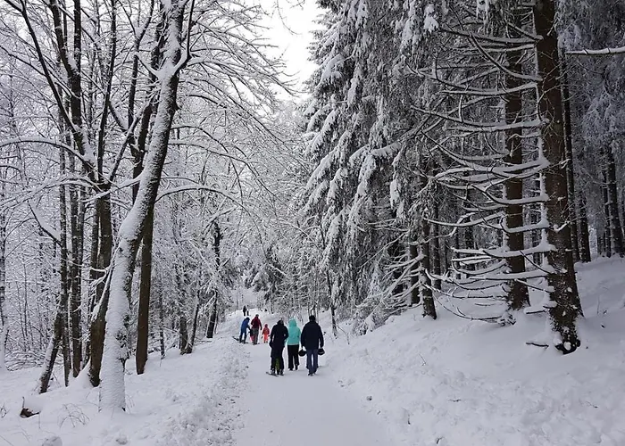 Hotel Winterberg Resort 3* Winterberg