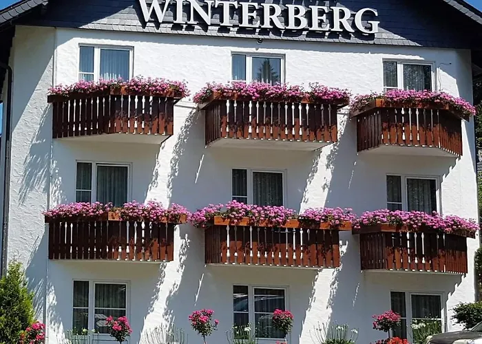 Hotel Winterberg Resort Winterberg