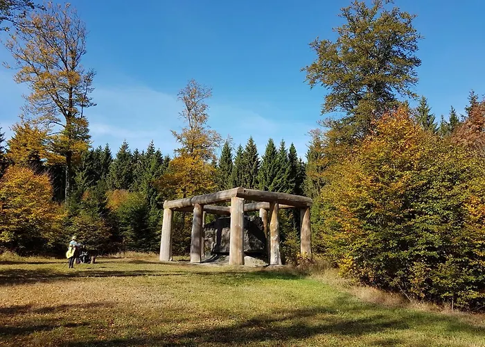 Hotel Winterberg Resort Hotel Winterberg