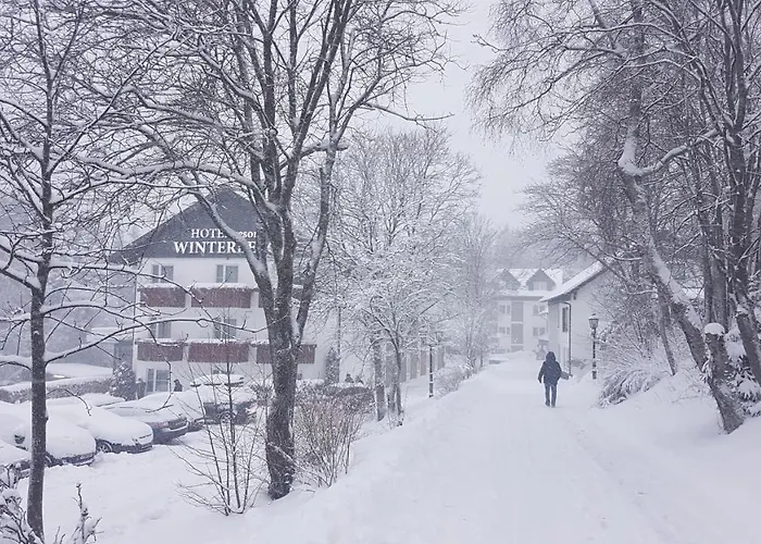 Hotel Winterberg Resort فندق 3*