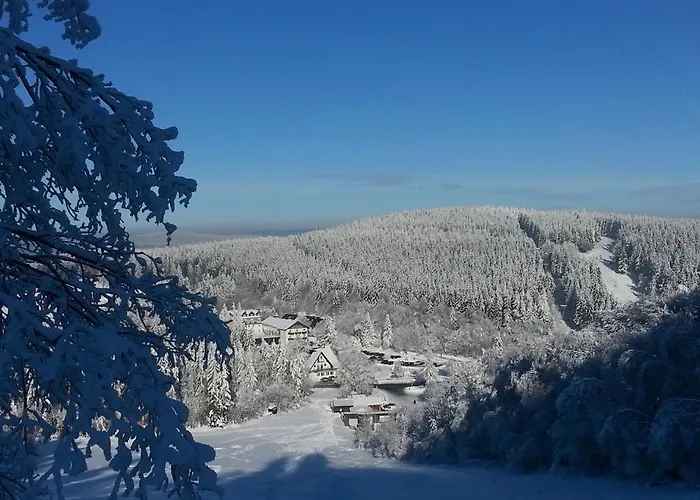 Hotel Hotel Winterberg Resort 3*